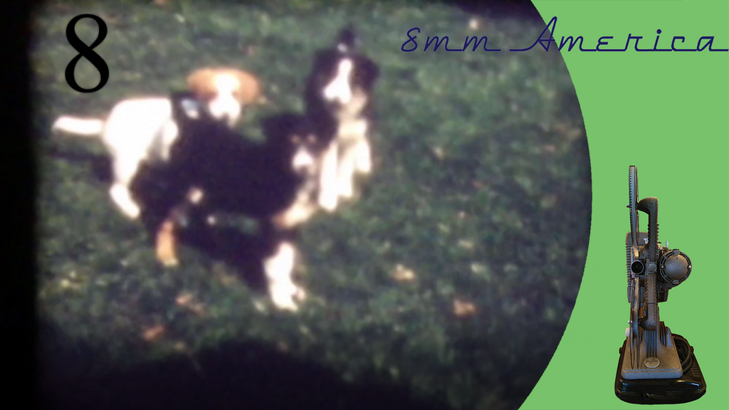 8mm America Episode 8: Spring Time Puppies at Play